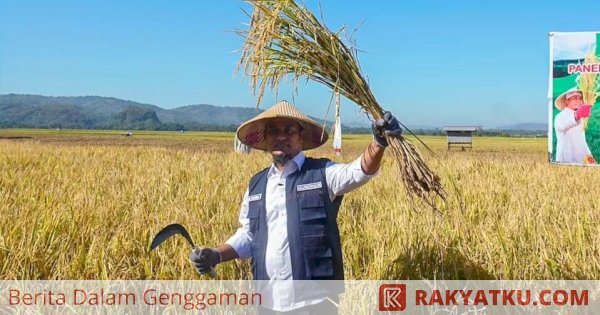 Gubernur Sulsel Panen dan Tanam Mandiri Benih Padi Bersama Petani di Maros