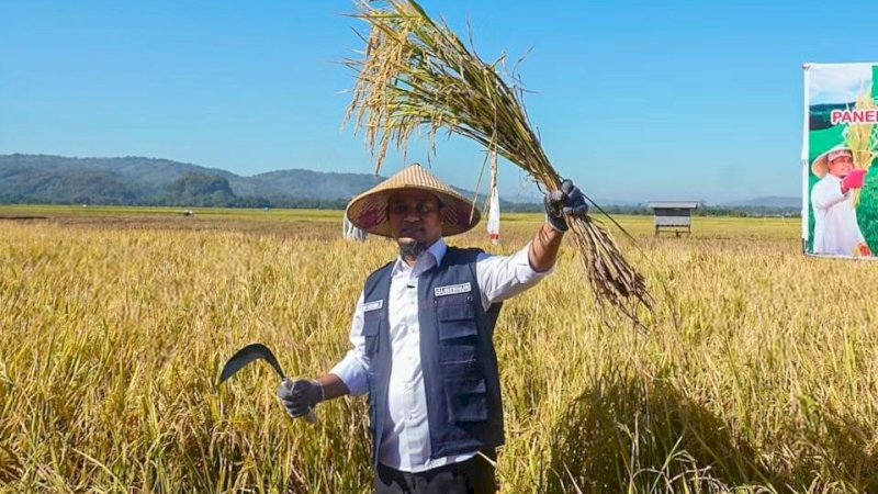 Didampingi Bupati Maros, Gubernur Sulsel Tanam dan Panen Benih Padi