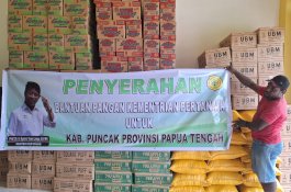 Kementan Beri Bantuan Pangan 1,2 Ton untuk Warga Puncak Papua