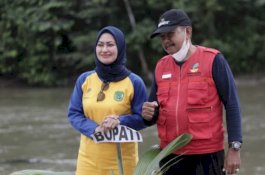 Bupati Luwu Utara Tanam 1.000 Pohon di Bantaran Sungai Masamba Bersama Pilar Sosial