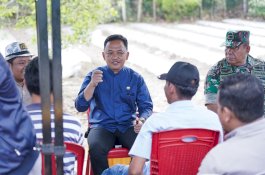 Bupati Bantaeng Tanam Perdana 10 Hektare Cabai di Desa Barua