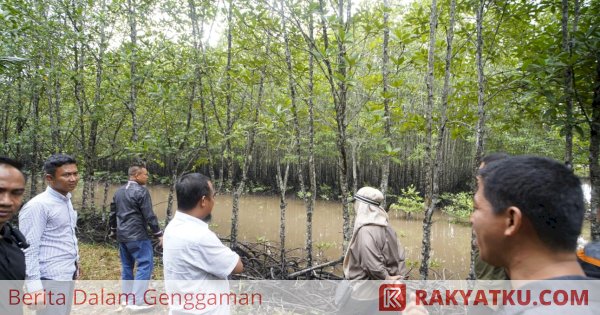 Gubernur Sulsel Kunjungi Hutan Mangrove dan Tanam Bibit di Kepulauan Riau