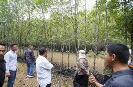 Gubernur Sulsel Kunjungi Hutan Mangrove dan Tanam Bibit di Kepulauan Riau