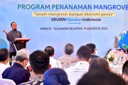 Penanaman Mangrove di Wilayah Pesisir Sulsel Massif di Era Gubernur Andi Sudirman