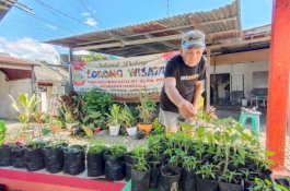 Membanggakan, Program Lorong Wisata Makassar Masuk 10 Besar PPD