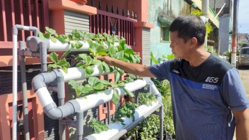 Melalui Program Lorong Wisata Masyarakat Budidaya Sayur di Halaman Rumah Secara Hidroponik