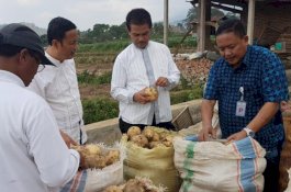 Kementan Genjot Hilirisasi Pertanian Skala Rumah Tangga