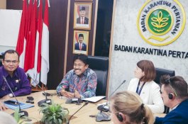 Karantina Pertanian Buka Kemball Kran Impor Sapi Asal Australia