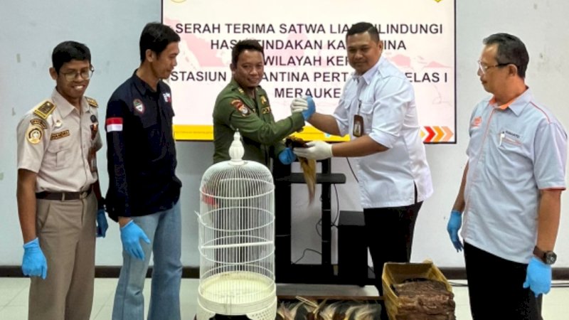 Karantina Merauke Gagalkan Penyeludupan, Cahyono: Semua Satwa Tahanan Diserahterimakan 