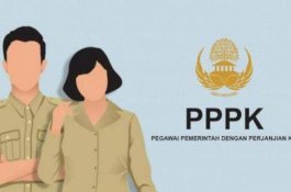 Pemprov Sulsel Buka 3.745 Kuota Formasi PPPK