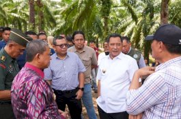 Pj Gubernur Bahtiar Dorong Sulsel Jadi Produsen Pisang Terbesar di Indonesia