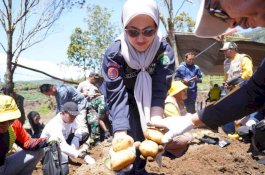 Bupati Luwu Utara Ajak Masyarakat Dataran Tinggi Jadi Petani Kentang