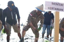 Kementan Dorong Upaya Memperlambat Konversi Lahan Pertanian 