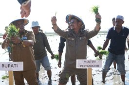 Kementan Dorong Pengembangan Pertanian Organik