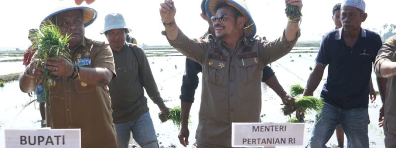 Kementan Dorong Pengembangan Pertanian Organik