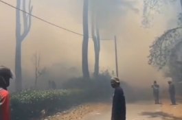 Kebakaran Sekitar 3 Hektar, Pemadaman Hutan Pinus Malino Masih Diupayakan