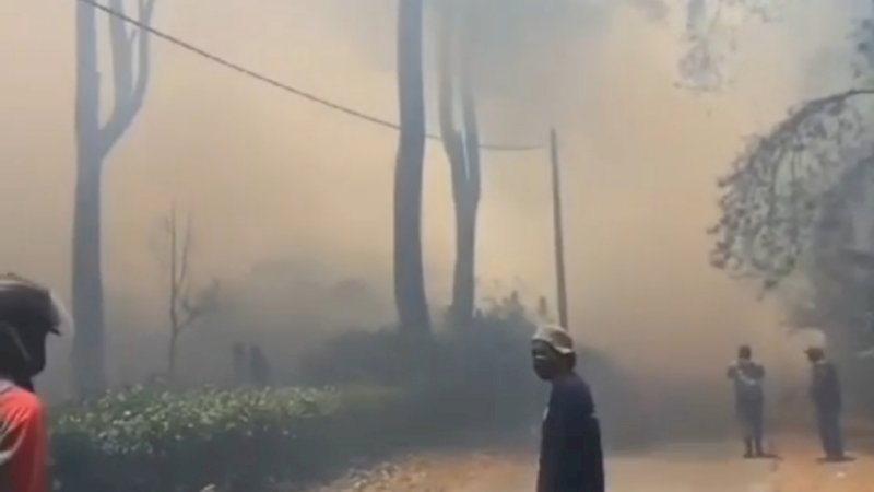 Kebakaran Sekitar 3 Hektar, Pemadaman Hutan Pinus Malino Masih Diupayakan