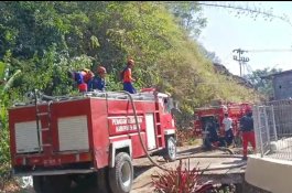 Damkar Gowa Masih Padamkan Api di Kawasan Hutan Pinus Malino