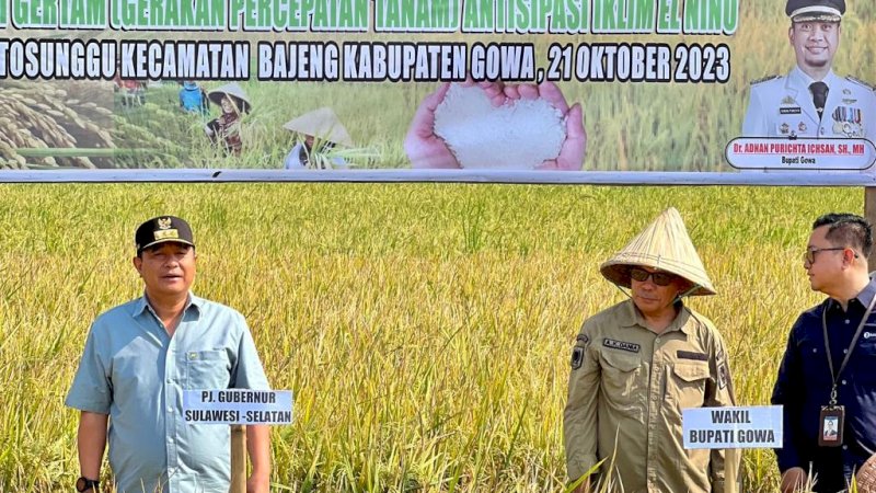 Petani Padi di Gowa Panen di Tengah Kekeringan Akibat El Nino