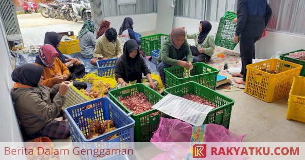 Wujudkan UMKM Hortikultura Naik Kelas, Kementan Buat Aplikasi PROHORTI