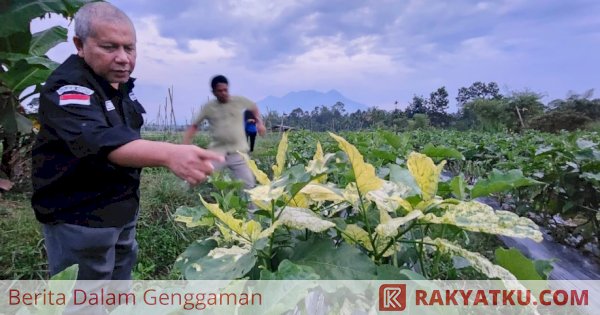 Kolaborasi Perguruan Tinggi dan Kementan Mewujudkan Klinik PHT yang Tangguh