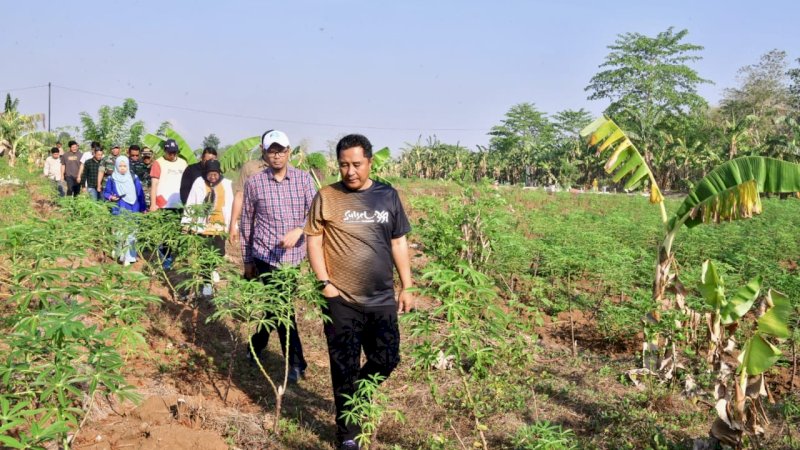 Pj Gubernur Tinjau 23 Hektar Lahan Percontohan Budidaya Pisang dan Nanas di Gowa