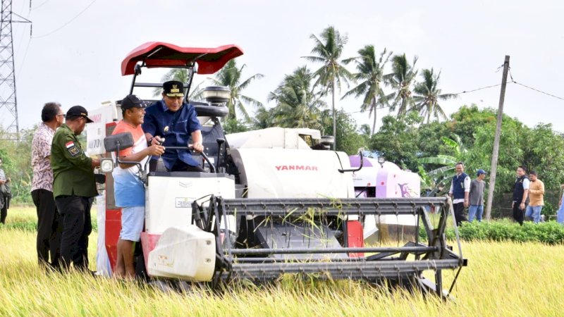 Petani Pinrang Pesta Panen Padi, Pj Gubernur Optimistis Surplus 2 Juta Ton Beras Tercapai