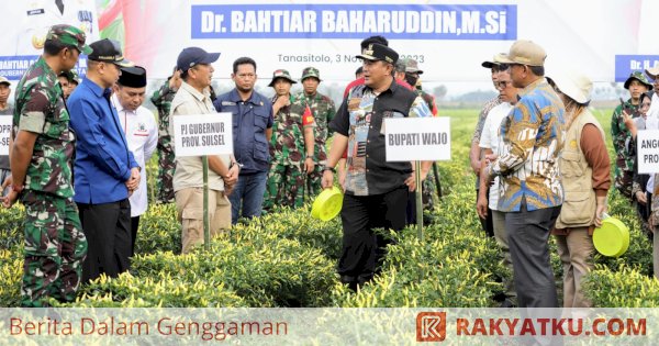 Pj Gubernur Tanam Bibit Pisang, Nenas dan Cabai Hingga Panen Raya Cabai di Wajo