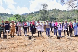 Pj Gubernur Sulsel Canangkan Budi Daya Pisang di Palopo, Petani Senang Diberikan Bibit