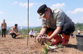 Pj Gubernur Sulsel Ajarkan Petani Enrekang Cara Kembangkan Bibit Pisang Cavendish
