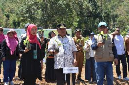 Pemkot Palopo Siapkan 43 Hektar Lahan untuk Gerakan Budidaya Pisang