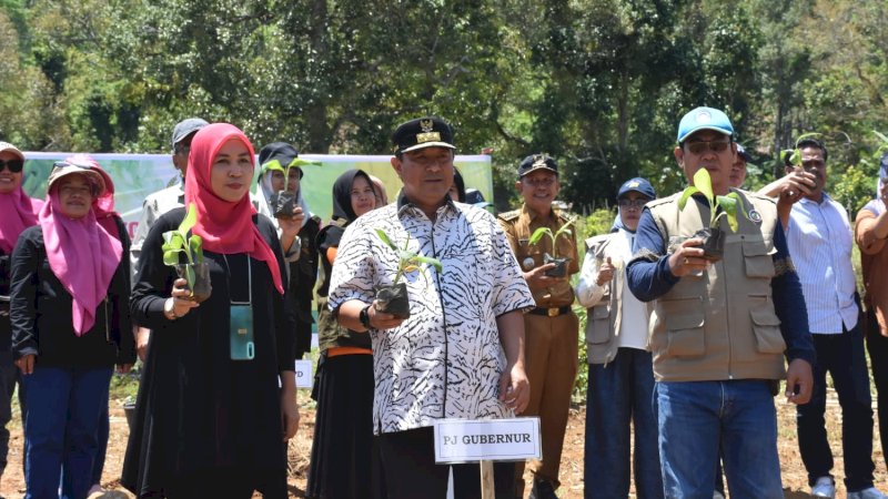 Pemkot Palopo Siapkan 43 Hektar Lahan untuk Gerakan Budidaya Pisang