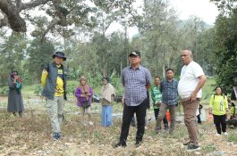 Pj Wali Kota Palopo Tinjau Potensi Lahan Untuk Budidaya Pisang