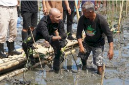 Indosat Dorong Program Desa Digital UMKM di Desa Bulu Cindea