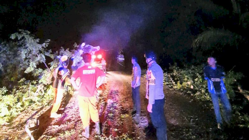 Polisi Bersama Tim PLN Evakuasi Pohon Tumbang yang Menutupi Badan Jalan di Desa Pasaka