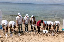 Asuransi Astra Tanam 5.000 Bibit Terumbu Karang di Pulau Samalona