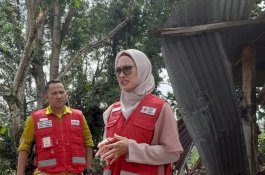 30 Rumah Terdampak Puting Beliung, Bupati Luwu Utara Minta Warga Tingkatkan Kesiapsiagaan