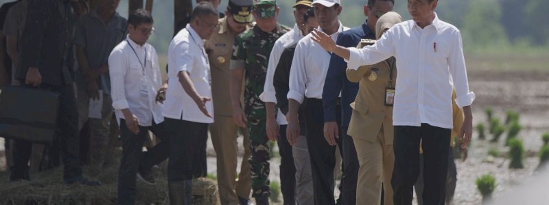 Tinjau Penanaman Padi di Pekalongan, Presiden Jokowi : Kita Kejar Tanam, Tanam, Tanam