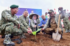 Kostrad Siapkan Lahan 100 Hektar untuk Budidaya Pisang Cavendish