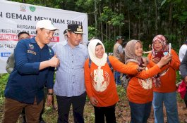 Jaga Kelestarian Kawasan Geopark, 10 Ribu Pohon Sukun Bakal Ditanam di Rammang-rammang