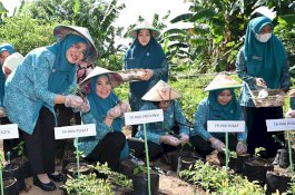Sekretaris Umum PKK Pusat Puji Gerakan Tanam Cabai di Sulsel untuk Turunkan Inflasi