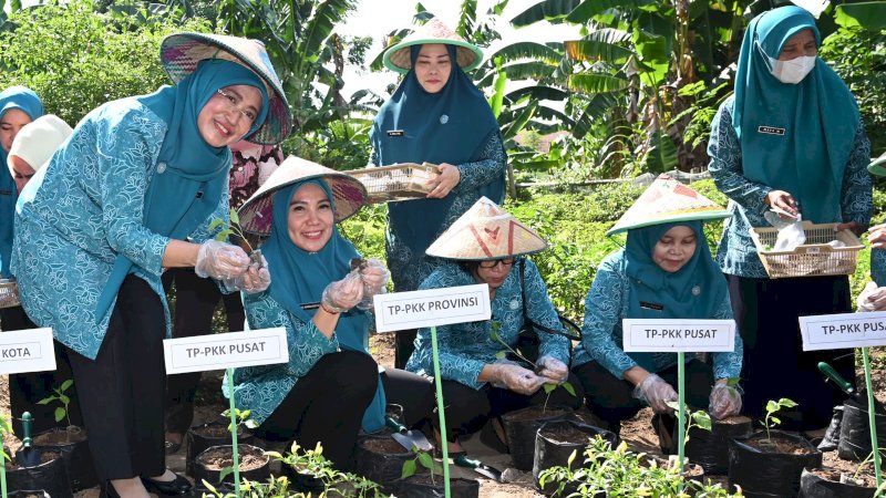 Sekretaris Umum PKK Pusat Puji Gerakan Tanam Cabai di Sulsel untuk Turunkan Inflasi