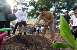 200 Ribu Pohon Pisang Cavendish Ditanam di Sulsel sejak September 2023