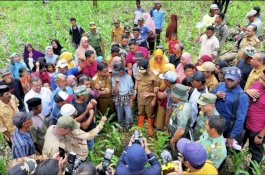 Kades di Jeneponto yakin Program Pj Gubernur Sulsel Dongkrak Pendapatan Petani
