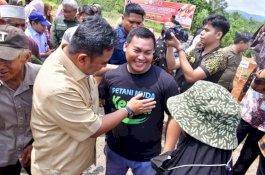 Menanam Pisang Bersama Pj Gubernur Sulsel, Petani Milenial di Lutim Ikut Galakkan Budidaya Cavendish