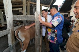 Pemprov Sulsel Dorong Inseminasi Buatan untuk Tingkatkan Industri Peternakan