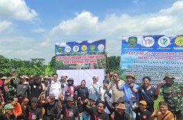 Kementan Bersama Gempita Genjot Penanaman Jagung di Subang, Jabar