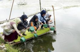 Pj Ketua PKK Sulsel Tebar Benur Udang Vaname dan Tanam Pisang Cavendish di Kota Parepare