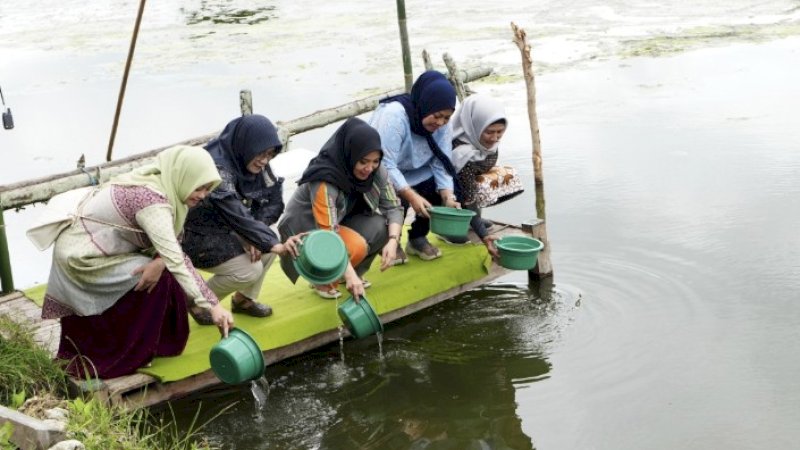 Pj Ketua PKK Sulsel Tebar Benur Udang Vaname dan Tanam Pisang Cavendish di Kota Parepare