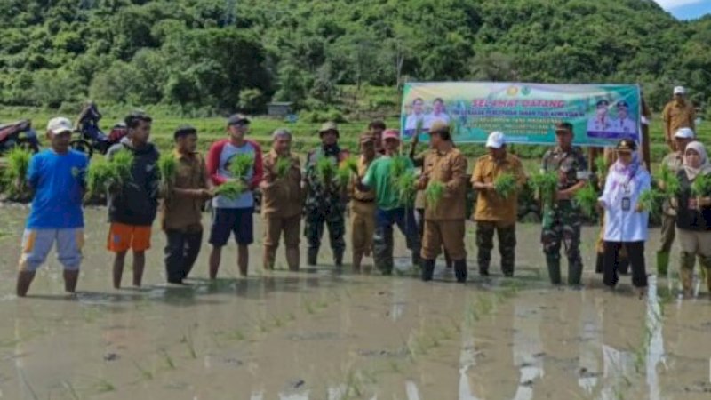 Gerakan percepatan akselerasi tanam padi di Kelompok Tani Masagenae, Desa Kupa, Kecamatan Mallusetasi, Kabupaten Barru, Sulawesi Selatan, Selasa (27/2/2024).